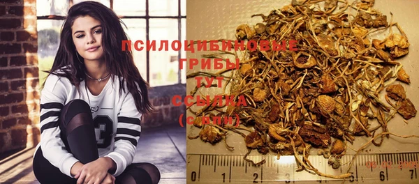 спиды Кодинск