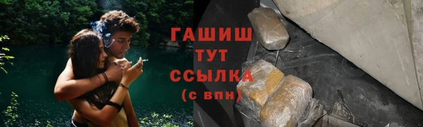 мдпв Козельск