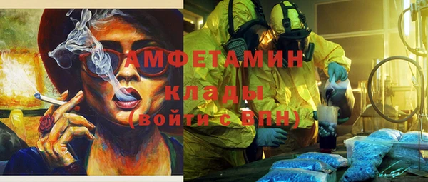 мдпв Козельск