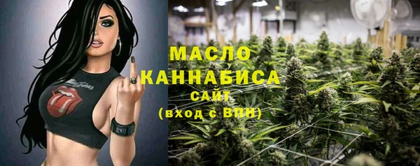 мдпв Козельск