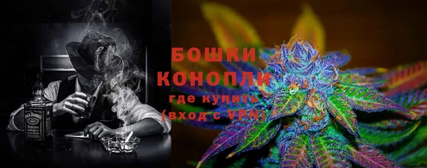 мдпв Козельск