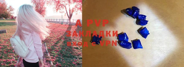 спиды Кодинск