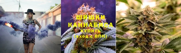 мдпв Козельск