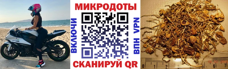 Галлюциногенные грибы прущие грибы  Купить закладки  Бугульма 